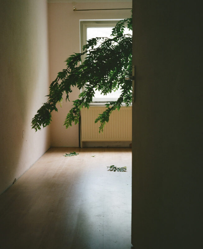 Now is not the right time