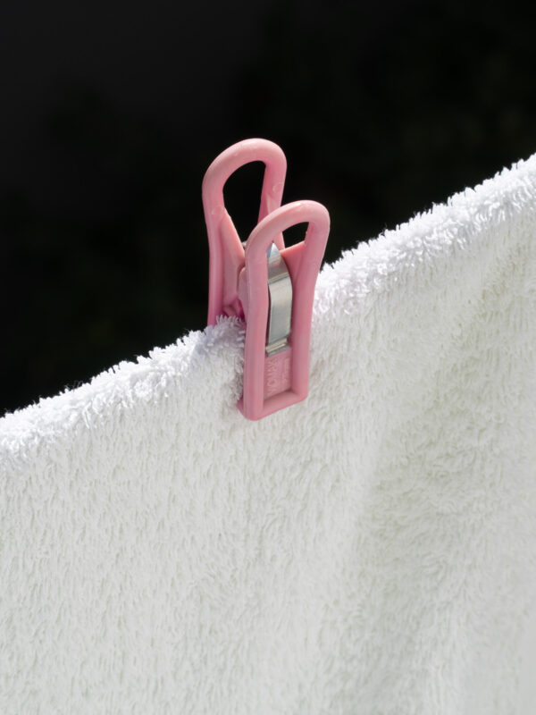 title still missing, 2023–2024